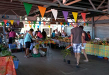 Où faire ses courses en Martinique ? supermarchés et hypermarchés