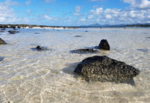 Visiter l’île Maurice et l’île Rodrigues en un seul voyage