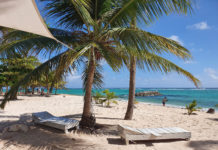 Choisir entre Guadeloupe ou Martinique : mon comparatif pour faire votre choix